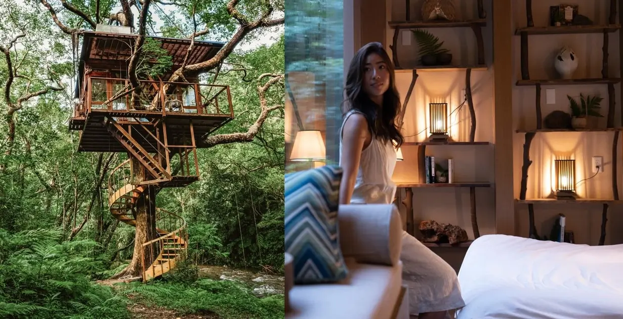 can you legally live in a treehouse